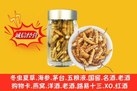 武宣县回收散虫草