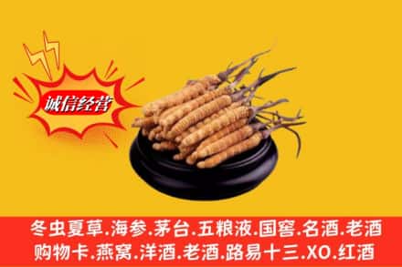 武宣县求购回收虫草多少钱每克